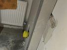 Handyman  Jack Image 4
