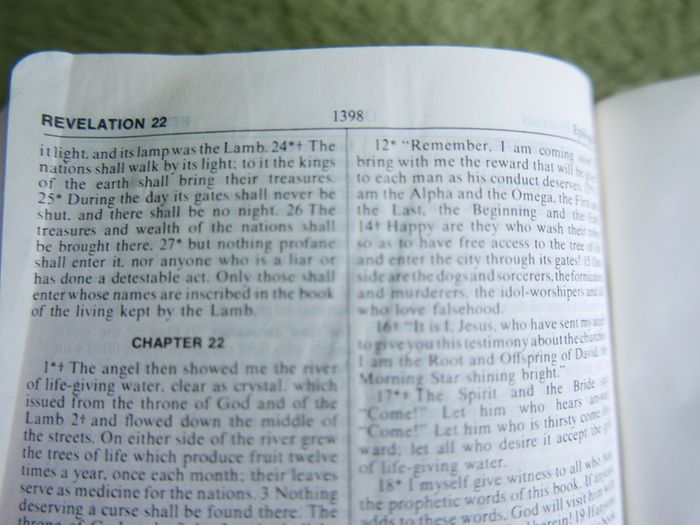 Vintage Brides Holy Bible Nelson 1971