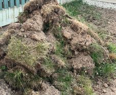 Garden soil
