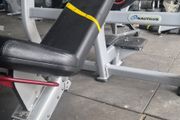 Nautilus incline bench
