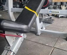 Nautilus incline bench