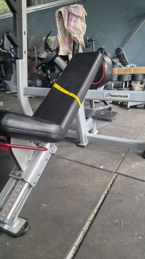 Nautilus Olympic Bench