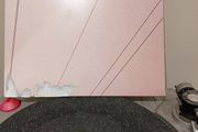 I Am The Cosmos Monochrome vinyl