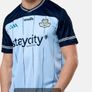 Dublin GAA Jersey Large Tight fit Image 4