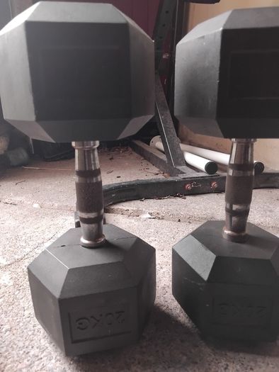 20kg dumbbells