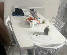 Modern White Dinning Table and Chairs