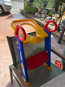 Kids toilet training seat and steps