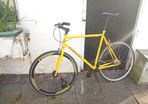 fixie - xl