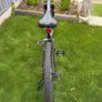 Girls Mountain Bike Image 4