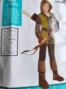 Robin Hood Costium