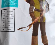 Robin Hood Costium