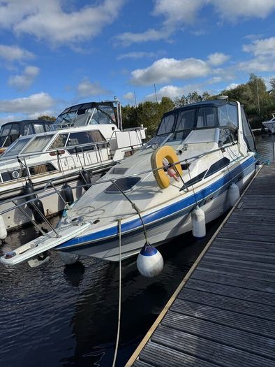 Project Cruisers End of Season sell off.
