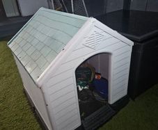 Dog Kennel