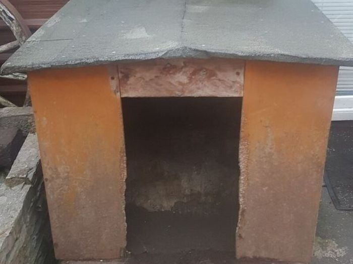 Dog Kennel