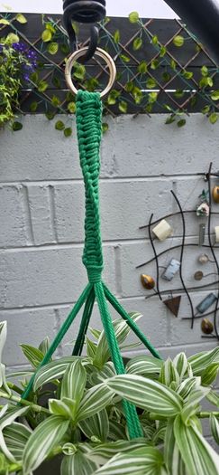 indoor plant pot and pot hanger included