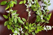 Artificial Garland