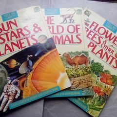 Three Books: Kingfisher Question & Answer books