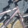 bike Image 2