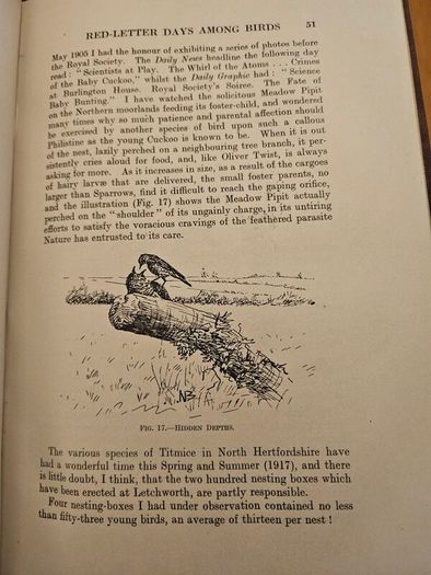 My Life As A Naturalistic. By W. Percival Westell. First Edition 1918 Hardback In Fair Condition.  See Photos For Same.
