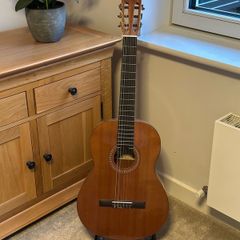 Salvador Cortes CC22 Acoustic Guitar