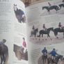 Pony care book Image 4