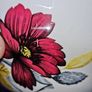 Shabby Chic Vintage Dorchester Fine Bone China Sugar Bowl Image 3