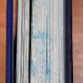 Dogman, 20,000 Fleas Under The Sea (Damaged)by Dav Pilkey Image 4