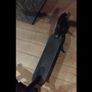 mi 365 e scooter Image 3