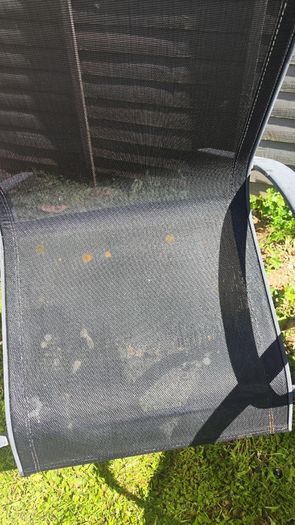 Free garden chairs