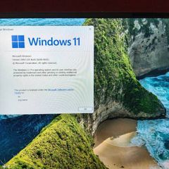 Dell xps 15