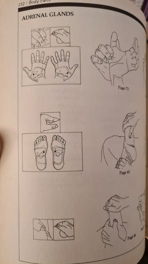 Hand And Food Reflexology. By Kevin And Barbra Kunz. The Unique Self-health Approach To Wellness. Large Volume Paperback In Good Condition.