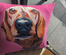 Throw cushions