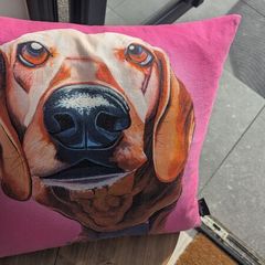 Throw cushions