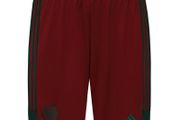 Wolves shorts