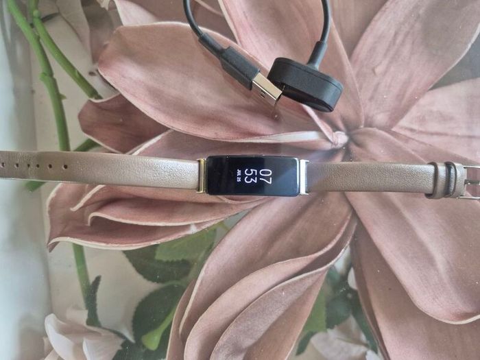 fitbit inspire