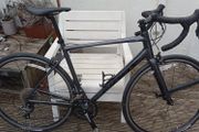 Giant Contend Size ML - Claris 8 speed