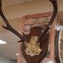 French Oak Antler Wall Mount 2 Image 3