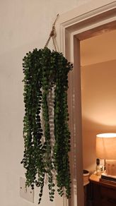Faux hanging plant