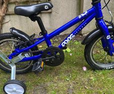 Frog 40 Blue