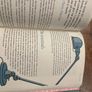 The Housewife's Handbook by Rachel Simhon Image 4