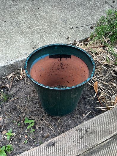 plant pots job lot