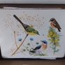 Set of Place Mats with Bird Display Image 3