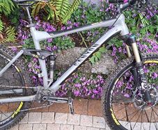 canyon nerve al+ all mountain bike