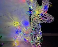 Christmas decoration/light