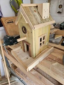 birdie feeders