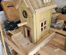birdie feeders