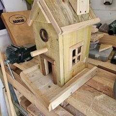 birdie feeders