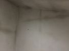 Plasterer Fully Insured And Registered Image 6