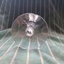 Waterford Glass/Crystal, Clarets Image 4