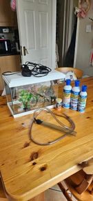 fish tank with all you need to start!